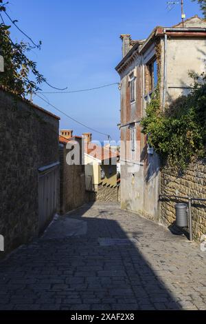 Photo d'une ancienne vue sur la rue avec la mer à l'horizon dans la vieille ville slovène de Piran Banque D'Images