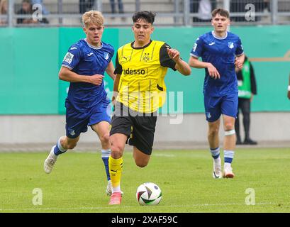 Oberhausen, Deutschland. 30 mai 2024. firo : 30.05.2024, Football, Football, Jeunesse, U19, finale du championnat d'Allemagne a-Youth, saison 2023/2024, A Juniors, Juniors Bundesliga U-19 BVB Borussia Dortmund - U-19 TSG 1899 Hoffenheim 1:3 Vincenzo Onofrietti action individuelle crédit : dpa/Alamy Live News Banque D'Images