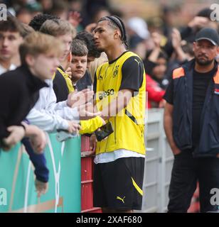 Oberhausen, Deutschland. 30 mai 2024. firo : 30.05.2024, Football, Football, Jeunesse, U19, finale du championnat d'Allemagne a-Youth, saison 2023/2024, A Juniors, Juniors Bundesliga U-19 BVB Borussia Dortmund - U-19 TSG 1899 Hoffenheim 1:3 Paris Brunner déception avec les fans crédit : dpa/Alamy Live News Banque D'Images