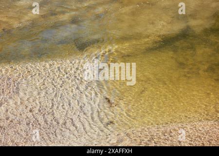 Ondulations ensoleillées à la surface des eaux peu profondes dans le port de Boscastle, observées à marée basse, sur la côte atlantique de Cornwall, Grande-Bretagne. Banque D'Images