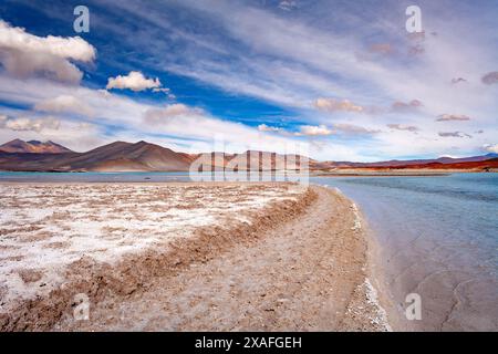 Tuyajto lagune et lac salé dans l'Altiplano (haut plateau andin) plus de 4000 mètres au-dessus du niveau de la mer avec croûte de sel dans le rivage Banque D'Images