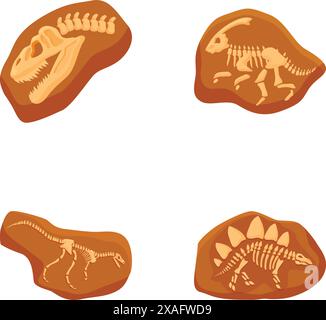 Collection d'illustrations détaillées de fossiles de squelettes de dinosaures à usage éducatif ou artistique Illustration de Vecteur