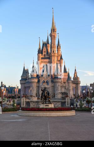 Château de la WDW 02 Banque D'Images