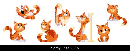 Ensemble de mignon grand tabby gingembre Cat dessin animé plat illustration de conception Illustration de Vecteur