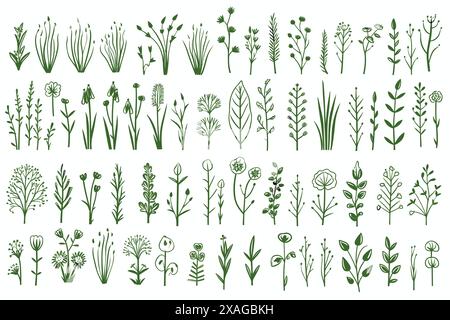 plantes vertes dessinées Illustration de Vecteur
