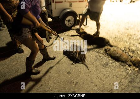 Les chasseurs de nutriments armés exposent fièrement leurs fusils au rodéo annuel Nutria en Louisiane, un événement faisant la promotion de l'abattage du rongeur envahissant. Banque D'Images