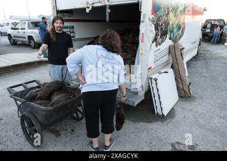 Les chasseurs déchargent un camion de carcasses de nutria chassées à Venice Marina lors de l'événement annuel Nutria Rodeo à Venice, en Louisiane. Banque D'Images