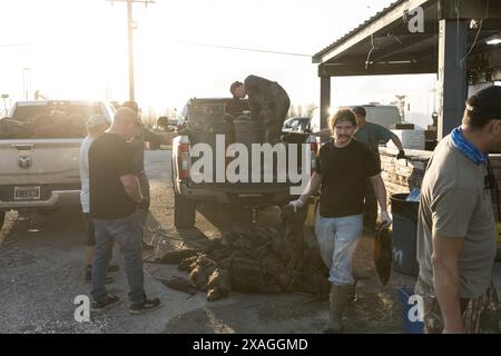 Les chasseurs déchargent un camion de carcasses de nutria chassées à Venice Marina lors de l'événement annuel Nutria Rodeo à Venice, en Louisiane. Banque D'Images