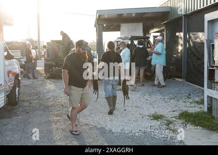 Les chasseurs déchargent un camion de carcasses de nutria chassées à Venice Marina lors de l'événement annuel Nutria Rodeo à Venice, en Louisiane. Banque D'Images