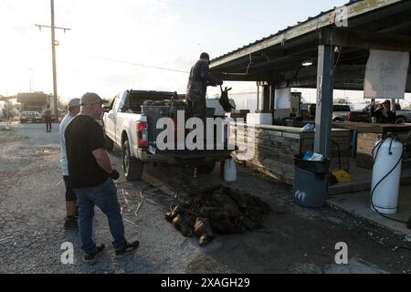 Les chasseurs déchargent un camion de carcasses de nutria chassées à Venice Marina lors de l'événement annuel Nutria Rodeo à Venice, en Louisiane. Banque D'Images