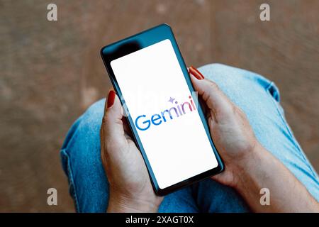 Brésil. 05 juin 2024. Dans cette illustration photo, le logo Google Gemini est affiché sur l'écran d'un smartphone. Crédit : SOPA images Limited/Alamy Live News Banque D'Images