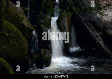 Taggerty Cascades se trouve sur la rivière Taggerty, au nord de Marysville, à Victoria, en Australie. La plus grande partie de cette zone a été détruite dans les 2009 feux de brousse. Banque D'Images