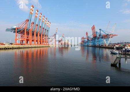 Hambourg, Allemagne. 07 juin 2024. Des portiques à conteneurs surélevés peuvent être vus dans le port de Hambourg lors d'une grève d'avertissement. Le syndicat Verdi a appelé les employés du port de Hambourg à se mettre en grève vendredi. Un deuxième cycle de négociations avec l'Association centrale des opérateurs portuaires allemands sur de meilleurs salaires n'a pas produit de résultats jeudi, a annoncé le syndicat. Crédit : Bodo Marks/dpa/Alamy Live News Banque D'Images