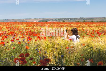 Fille prenant des photos dans le champ de coquelicots. Jeune femme photographiant des fleurs dans le champ de coquelicots, bleuets et épis de blé. Loisirs estivaux Banque D'Images