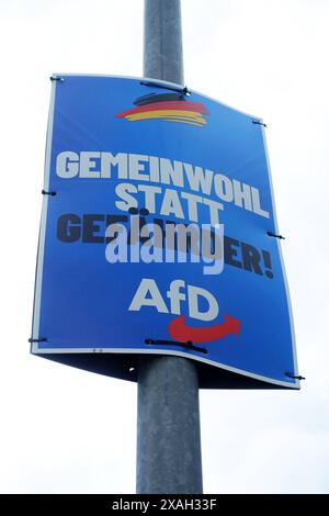 AFD-Wahlplakat - Wahl zum Europäischen Parlament - Die Wahl zum Europäischen Parlament findet vom 6. bis 9. Juni 2024 statt, sowohl in Deutschland als auch in Europa - Gerstungen, Deutschland, GER, DEU, Allemagne, 05.06.2024 - Gerstungen : Wahlplakat der Partei AFD mit dem slogan : GEMEINWOHL STATT GEFÄHRDER - LOGO : AFD - Abbildung: Deutsche Nationalfarben Schwarz Rot Gold *** AFD affiche électorale élection au Parlement européen les élections au Parlement européen auront lieu du 6 au 9 juin 2024, tant en Allemagne qu'en Europe Gerstungen, Allemagne, GER, DEU, Allemagne, Allemagne, 05 06 2024 Gerstung Banque D'Images