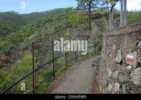 Une première section de sentier de la Monterosso - Punta Mesco via Fegina, sentier de randonnée sud-ouest, Monterosso al Mare, Cinque Terre, Ligurie, Italie Banque D'Images