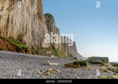Paysage côtier autour de Saint Léonard, commune du département de la Seine-maritime en région Normandie dans le nord de la France Banque D'Images