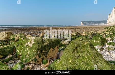 Paysage côtier autour de Saint Léonard, commune du département de la Seine-maritime en région Normandie dans le nord de la France Banque D'Images