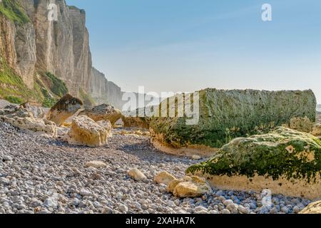 Paysage côtier autour de Saint Léonard, commune du département de la Seine-maritime en région Normandie dans le nord de la France Banque D'Images