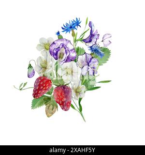 pois doux et fleurs de bleuet dans un bouquet avec des fraises mûres, des bourgeons et du feuillage, aquarelle Banque D'Images