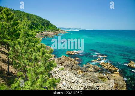 Samcheok City, Corée du Sud - 18 mai 2024 : vue sur la magnifique côte rocheuse le long d'Isabu Road, avec des eaux turquoises vibrantes et une végétation luxuriante Banque D'Images