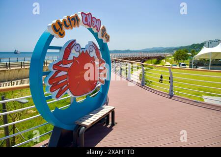 Samcheok City, Corée du Sud - 18 mai 2024 : le panneau du Festival du crabe des neiges de Samcheok est bien en vue sur Isabu Plaza. La passerelle courbe, pelouse verte, a Banque D'Images