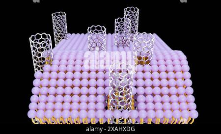 Rendu 3D de porines de nanotubes de carbone, morceaux courts de nanotubes de carbone capables de s'auto-insérer dans une bicouche lipidique, modèle de membrane biologique Banque D'Images