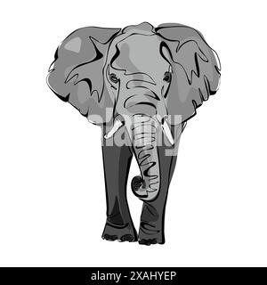 Mignon éléphant gris debout isolé sur fond blanc. Animal sauvage avec de grandes oreilles, un long tronc et une longue queue. Conception vectorielle plate Illustration de Vecteur