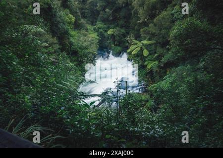 Une rivière sauvage dans une forêt luxuriante, entourée de rochers et d'une végétation dense, Okere Falls, Nouvelle-Zélande Banque D'Images