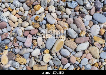 gros plan photo plate d'une surface de plage de galets secs, petites pierres arrondies colorées sur un rivage de mer Banque D'Images