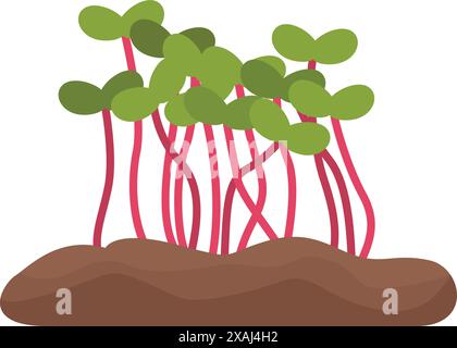 Jeunes pousses de radis poussant à partir du sol, microgreens, aliments sains, concept de régime végétalien Illustration de Vecteur