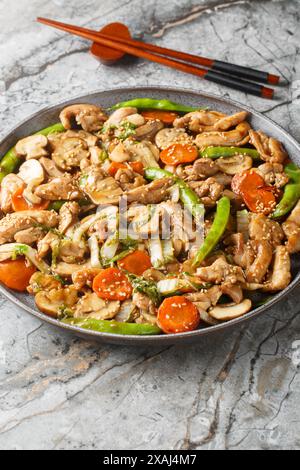 Moo Goo Gai Pan est un plat chinois classique composé de morceaux de poulet et de champignons avec des légumes croquants en gros plan sur l'assiette sur la table. Vertical Banque D'Images