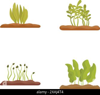 Quatre stades de croissance de la plante, de la germination à la plante mature, isolés sur blanc Illustration de Vecteur