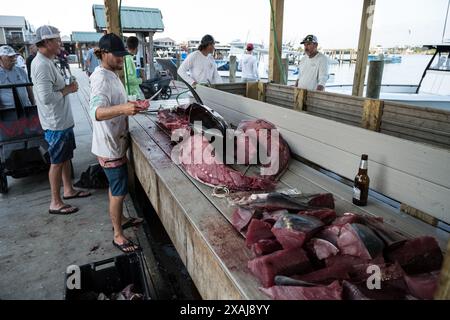 Les pêcheurs nettoient et traitent leurs prises de thon et de sébaste à la station de nettoyage du poisson de Venice Marina, un centre de l'industrie de la pêche en Louisiane. Banque D'Images