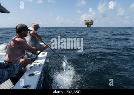 Un pêcheur à la ligne défile dans un thon capturé près de plates-formes pétrolières flottantes dans le golfe du Mexique, illustrant la juxtaposition de la pêche récréative et du pétrole au large Banque D'Images