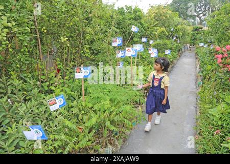 Dhaka. 7 juin 2024. Une fille passe devant des plantes à une foire nationale de l'arbre à Dhaka, au Bangladesh, le 5 juin 2024. Le gouvernement bangladais a lancé mercredi sa méga campagne annuelle de plantation d’arbres à l’échelle nationale avec l’objectif de planter plus de 80 millions de jeunes arbres pendant cette saison de mousson. Le premier ministre Sheikh Hasina a inauguré la campagne nationale de plantation d'arbres et la Foire de l'arbre 2024 ainsi que la Journée mondiale de l'environnement et la Foire de l'environnement 2024 dans les locaux du Centre international de conférences de Bangabandhu. Crédit : Xinhua/Alamy Live News Banque D'Images