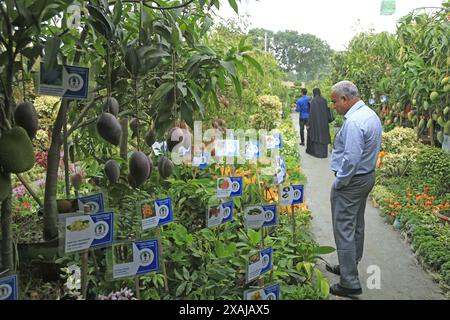Dhaka. 7 juin 2024. Les gens regardent des plantes lors d'une foire nationale de l'arbre à Dhaka, au Bangladesh, le 5 juin 2024. Le gouvernement bangladais a lancé mercredi sa méga campagne annuelle de plantation d’arbres à l’échelle nationale avec l’objectif de planter plus de 80 millions de jeunes arbres pendant cette saison de mousson. Le premier ministre Sheikh Hasina a inauguré la campagne nationale de plantation d'arbres et la Foire de l'arbre 2024 ainsi que la Journée mondiale de l'environnement et la Foire de l'environnement 2024 dans les locaux du Centre international de conférences de Bangabandhu. Crédit : Xinhua/Alamy Live News Banque D'Images