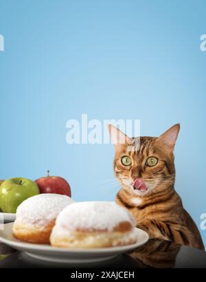 Un drôle de chat rouge lèche ses lèvres en regardant des beignets. Choisir entre des aliments malsains et sains. Banque D'Images