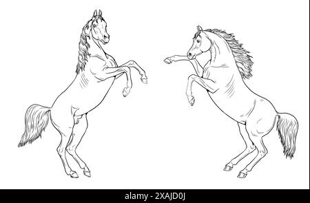 Beaux chevaux arabes. Dessin numérique d'un cheval d'élevage. Dessin équin. Banque D'Images