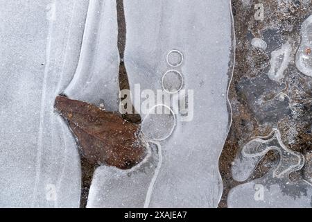 Surface de flaque congelée avec des formes rondes et courbes et feuille sèche congelée dans la glace Banque D'Images