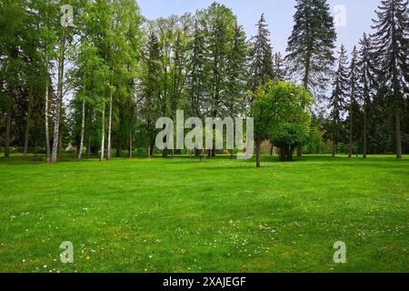 Vue panoramique sur un beau jardin paysager avec une pelouse fraîchement tondue et des arbres verdoyants Banque D'Images