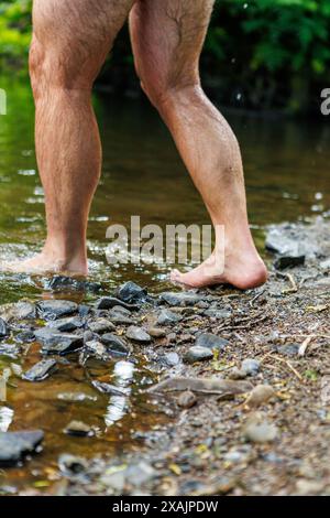 Une vue rapprochée des jambes d'un homme blanc alors qu'il marche dans la rivière pour une baignade sauvage, Devon, Royaume-Uni. Banque D'Images