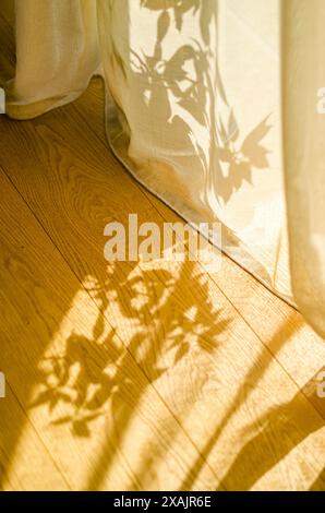 ombres de plantes à la maison sur les rideaux pendant les heures dorées. Photo de haute qualité Banque D'Images