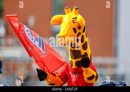 7 juin 2024 ; Emirates Old Trafford Cricket Ground, Manchester, Angleterre ; Charlotte Edwards Cup Cricket, Lancashire Thunder versus Southern Vipers ; Lanky la mascotte du Lancashire Banque D'Images