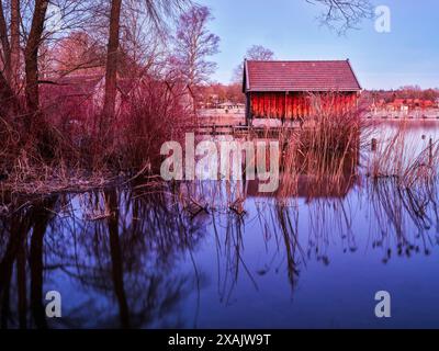 Ambiance matinale d'hiver à Ammersee, Bavière, Allemagne Banque D'Images