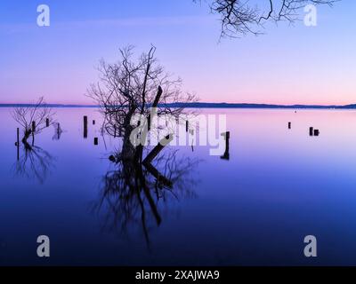 Ambiance matinale d'hiver à Ammersee, Bavière, Allemagne Banque D'Images