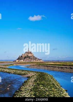 Entre Bretagne et Normandie au Mont Saint Michel, France Banque D'Images