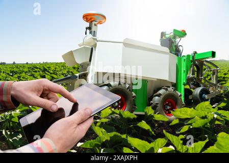 Farmer commande un robot autonome dans un champ agricole. Concept d'agriculture intelligente. Banque D'Images