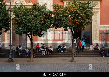 Séville, Espagne. 4 février 2024 - personnes assises sur les marches de l'église du Divin Sauveur sur la Plaza del Salvador, entourées d'orangers Banque D'Images
