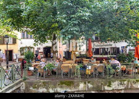 Jardin de bière à Freiburg im Breisgau, Forêt Noire, Bade-Württemberg, Allemagne Banque D'Images